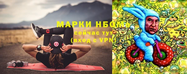 амф Балахна