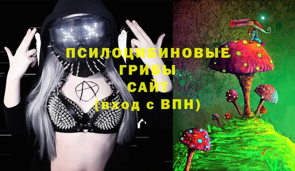 кокаин Белокуриха