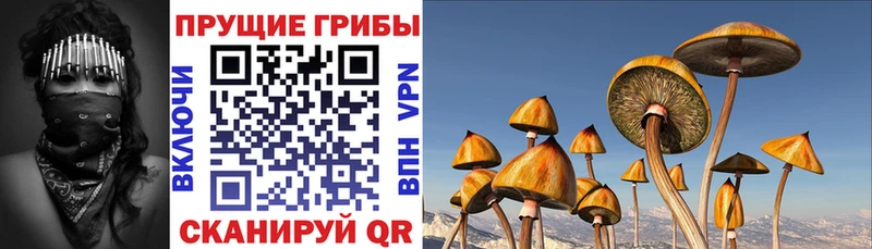 Галлюциногенные грибы ЛСД  где купить наркоту  Усть-Лабинск 